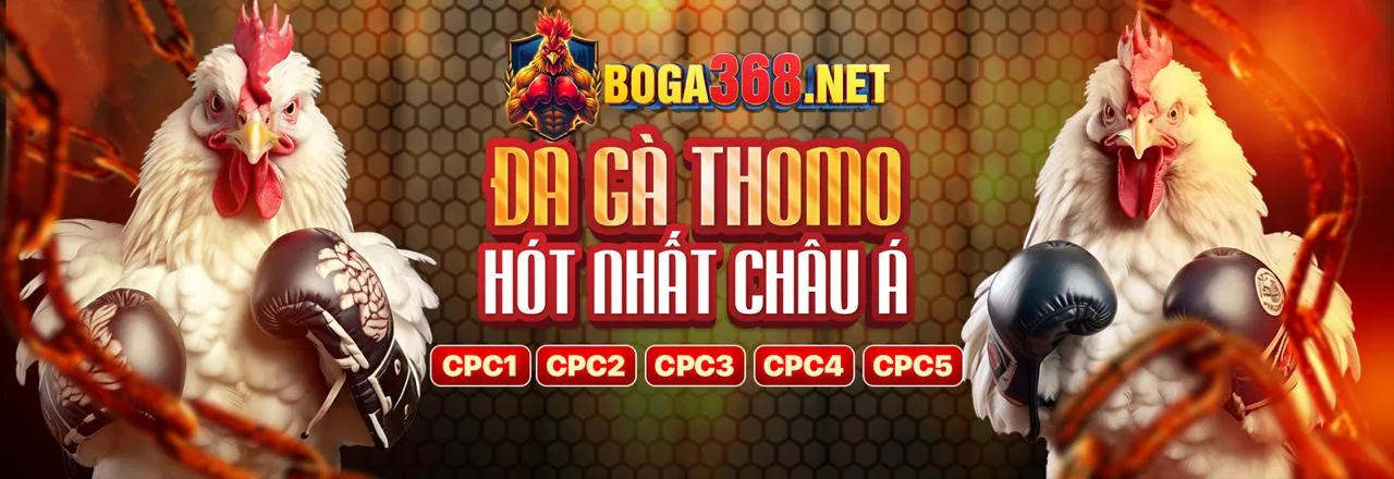 Mẹo Cá Cược Thể Thao 789ber win
